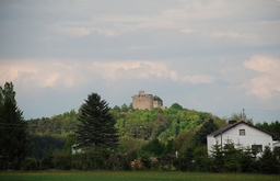 Burgruine Landsee Logo