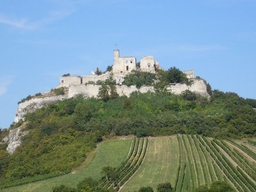 Burgruine Falkenstein Logo