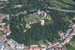 Güssing Castle Logo