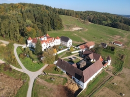 Dornhofen Castle Logo