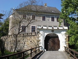 Sachsengang Castle Logo