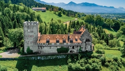 Wolfurt Castle Logo