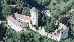 Wildberg Castle Logo