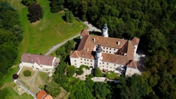 Freiberg Castle Logo