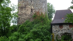 Haichenbach Castle Logo