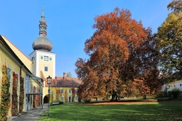 Puchheim Castle Logo