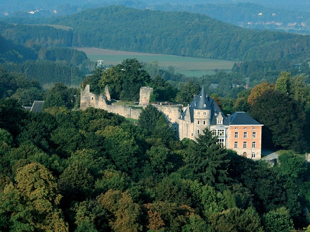 Les Amis de l'Ancien Château comtal de Rochefort Logo