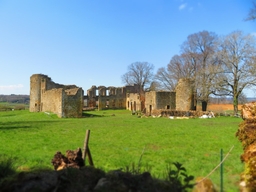 Montquintin Castle Logo