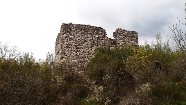 Belgrad Castle Logo